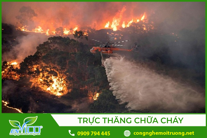 Cháy rừng là gì? Gallery 2