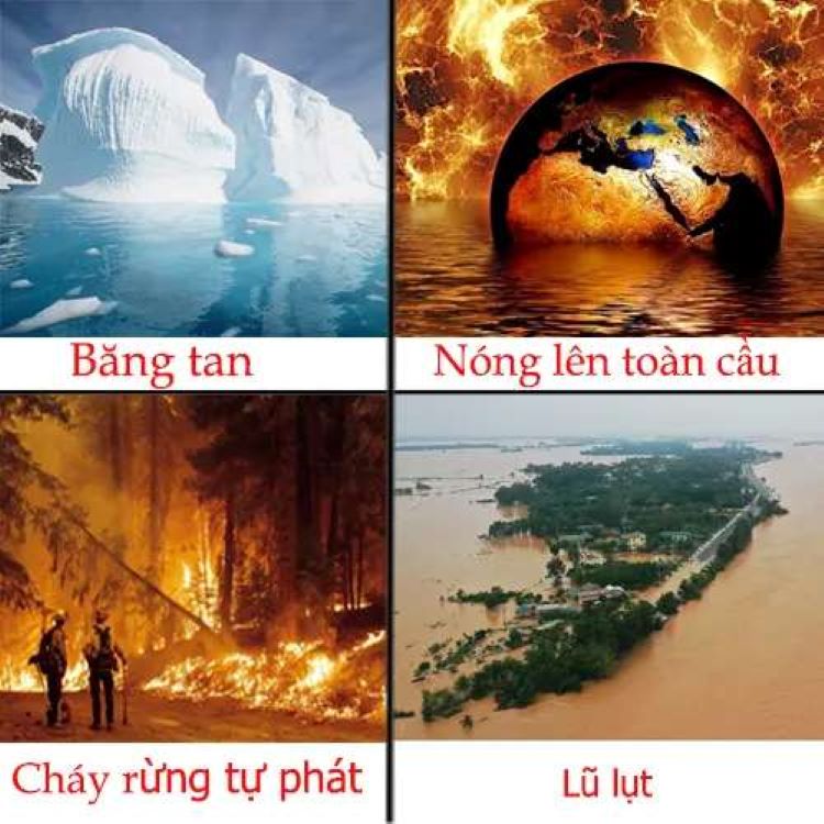 Thực trạng hiệu ứng nhà kính hiện nay Gallery 2