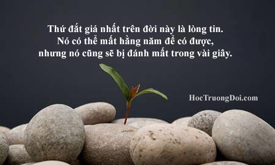 Mất lòng tin là gì? Gallery 2