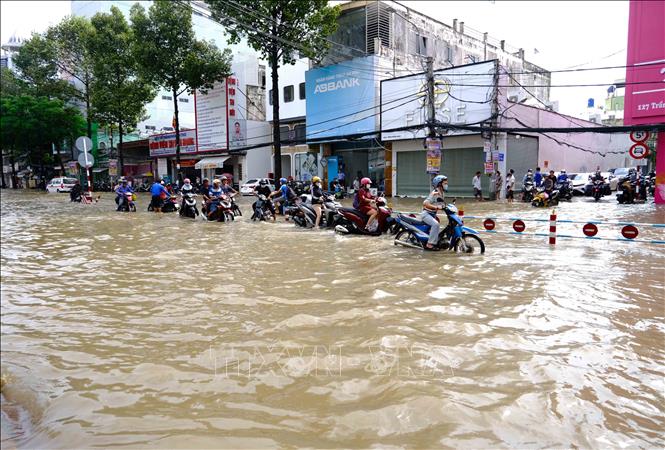 Nước Ngập Cần Thơ: Nguyên Nhân, Hậu Quả và Giải Pháp Gallery 2