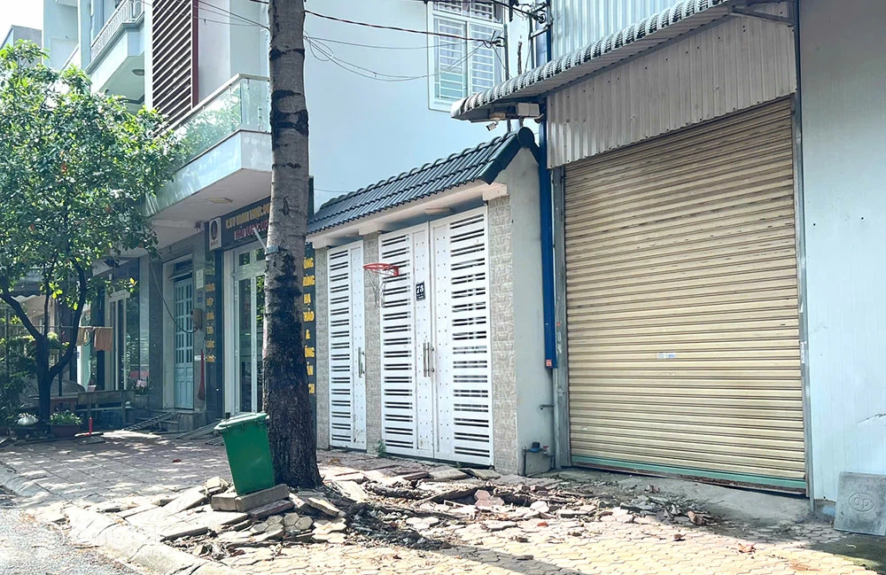 Rễ cây đâm vào tường nhà: Nguyên nhân, hậu quả và cách khắc phục Gallery 2