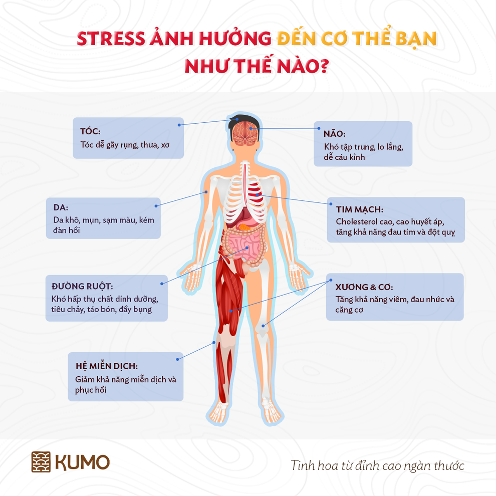Hậu quả của stress