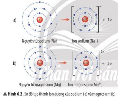 Sự phân bố electron không đồng đều trong nguyên tử và phân tử: Nguyên nhân và hậu quả Gallery 2