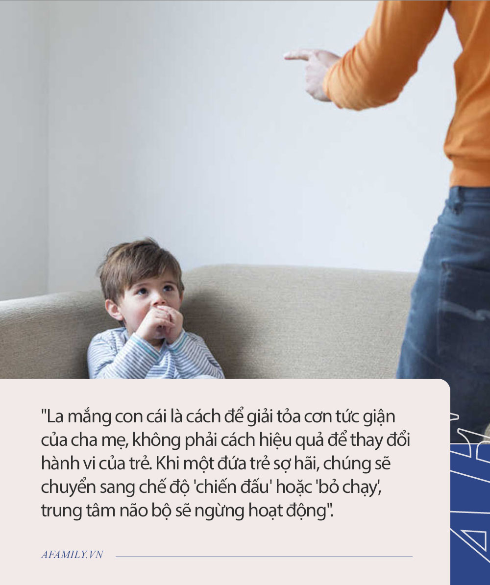 Tội Chửi Cha Mắng Mẹ: Hình phạt và Hậu quả Gallery 1