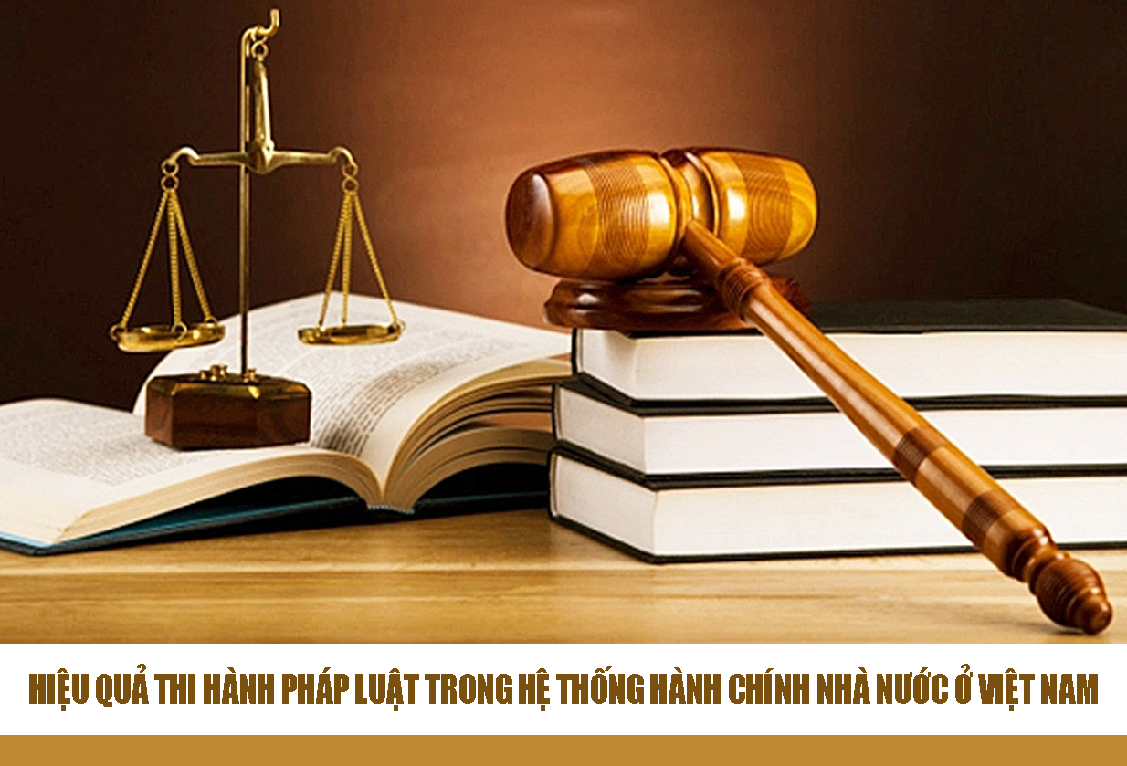 Công dân thi hành pháp luật khi Gallery 2