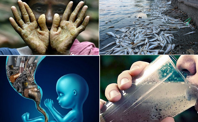 Hậu quả nghiêm trọng của ô nhiễm nguồn nước