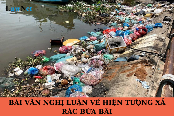 Xả Rác Bừa Bãi: Thói Quen Tệ Nạn và Hậu Quả Nghiêm Trọng Gallery 2