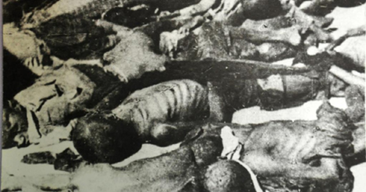 Nạn Đói 1945 ở Việt Nam: Thảm Họa Nhân Đạo Kinh Hoàng Gallery 2