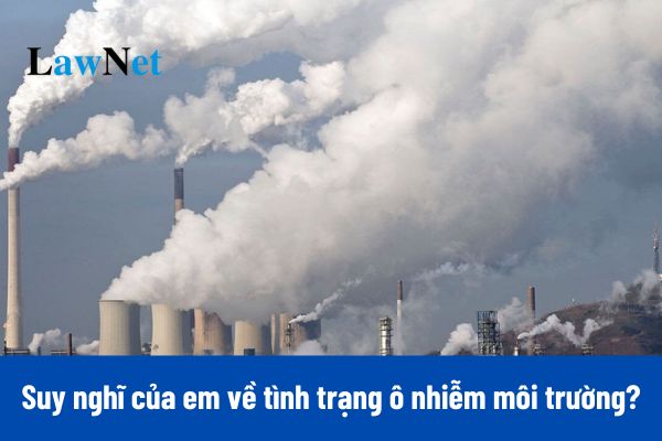 Suy nghĩ về tình trạng ô nhiễm môi trường hiện nay Gallery 2