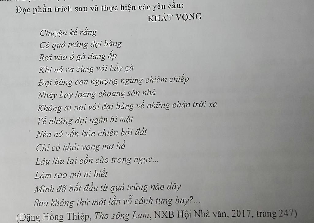 Sao không thử một lần vỗ cánh tung bay? Gallery 2