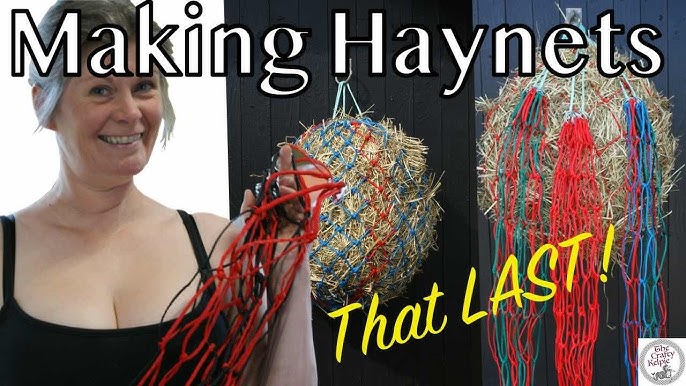 Hay Ghe.net: Tổng hợp thông tin chi tiết và đánh giá