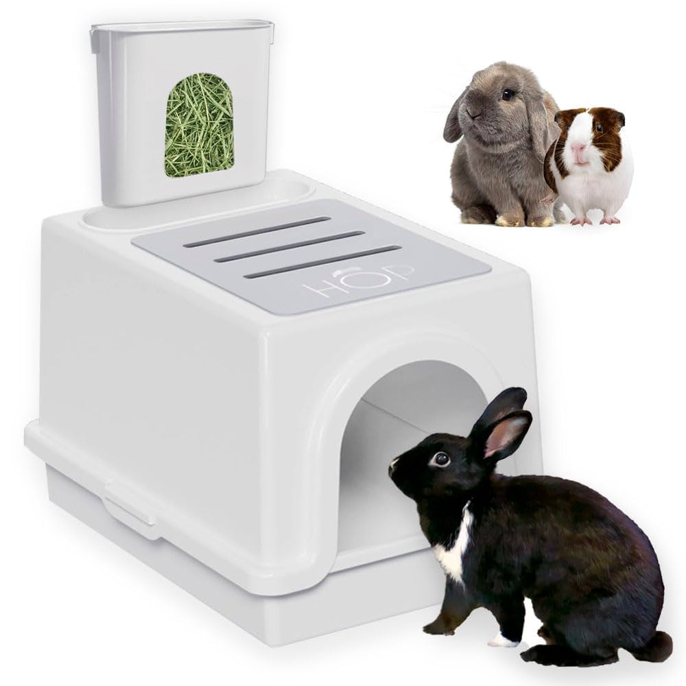 Hay Hop Là Gì? Tìm Hiểu Về Hay Hop Từ A Đến Z
