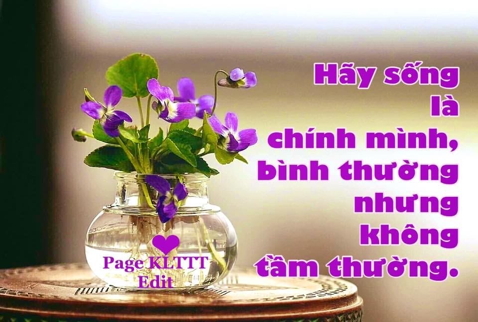 Hãy Là Chính Mình Bình Thường Nhưng Không Tầm Thường