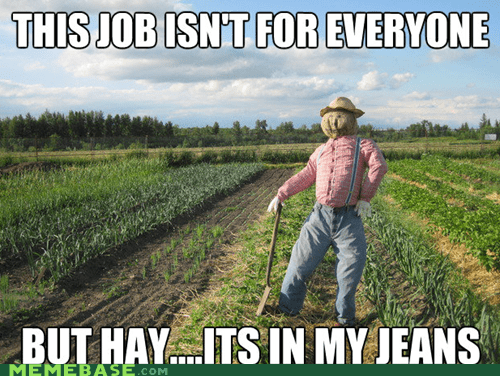 Hay Memes: Bộ Sưu Tập Những Hình Ảnh Hài Hước Nhất