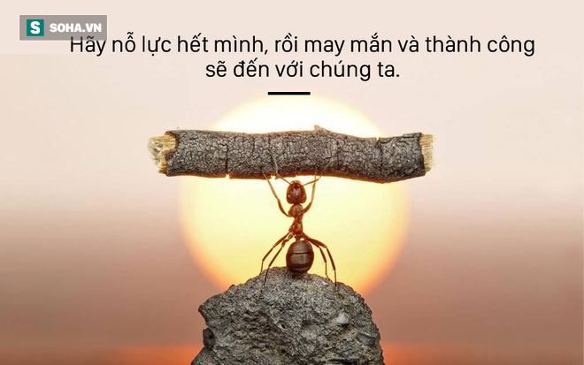 Hãy nỗ lực hết mình và điều tốt đẹp sẽ đến với bạn
