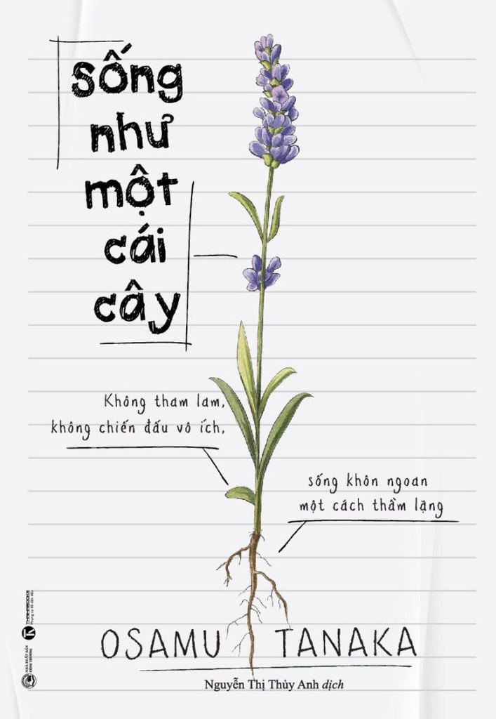 Hãy Sống Như Một Cái Cây