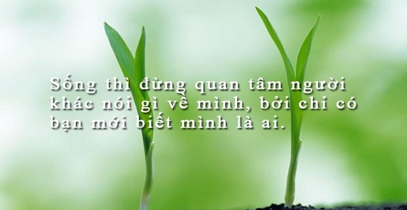 Hãy Sống Tốt Là Đủ – Đừng Quan Tâm Người Khác Nghĩ Gì Về Bạn Gallery 2