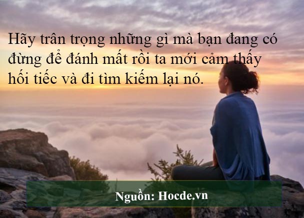 Hãy Trân Trọng Mọi Thứ Trước Khi Nó Biến Mất Gallery 2