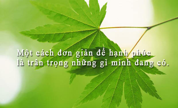 Hãy Trân Trọng Những Gì Mình Đang Có