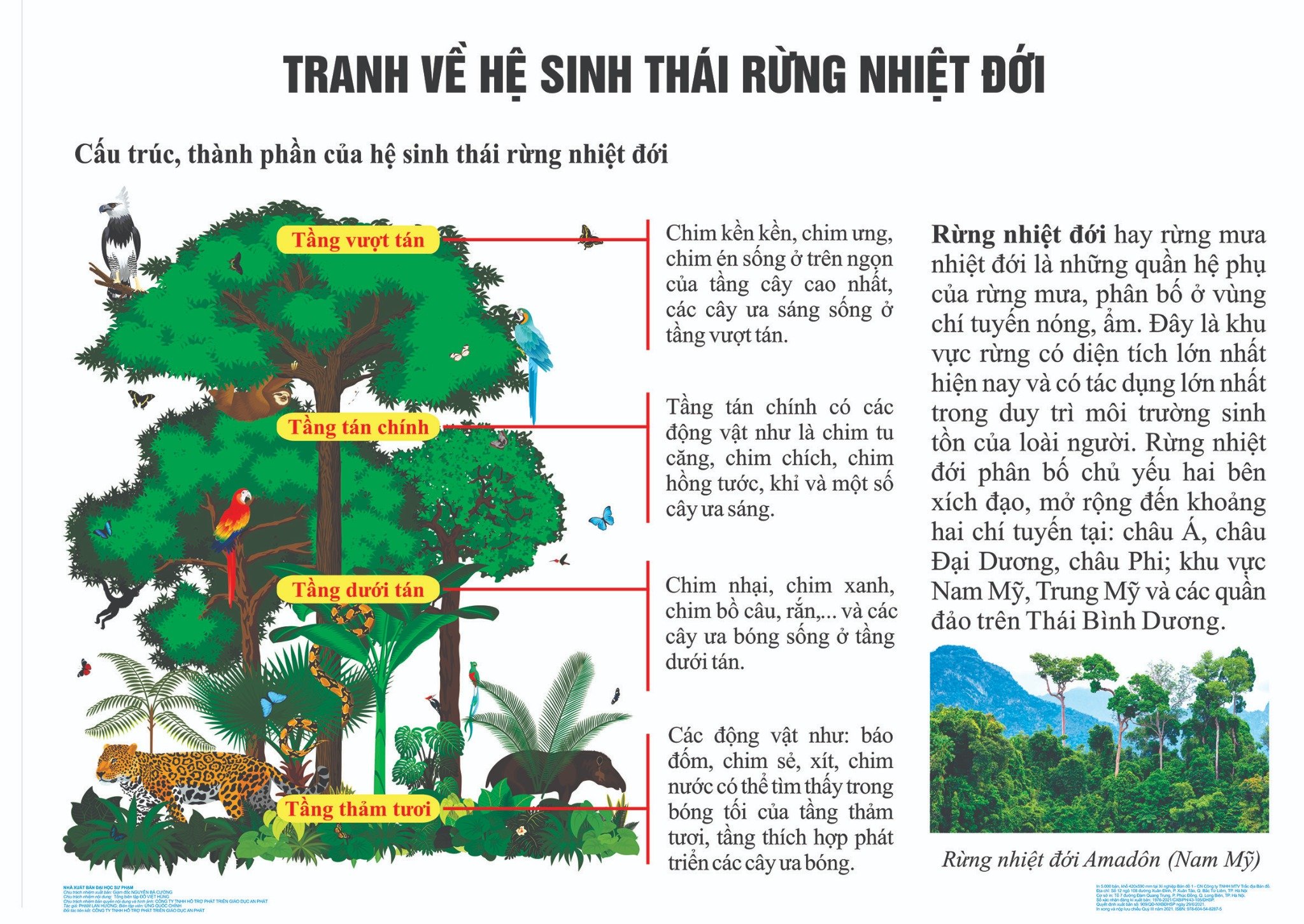 Hệ Sinh Thái Rừng Nhiệt Đới