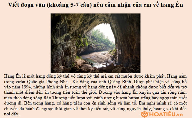 Bài Hang Én là gì? Khám phá Hang Én kỳ vĩ tại Phong Nha - Kẻ Bàng Gallery 2