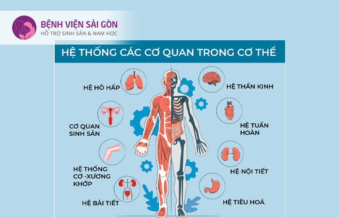 Hệ Trọng Là Gì? Gallery 2