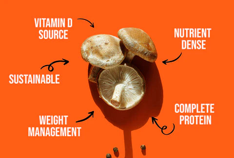 Shiitake Mushrooms: A Comprehensive Guide Gallery 2