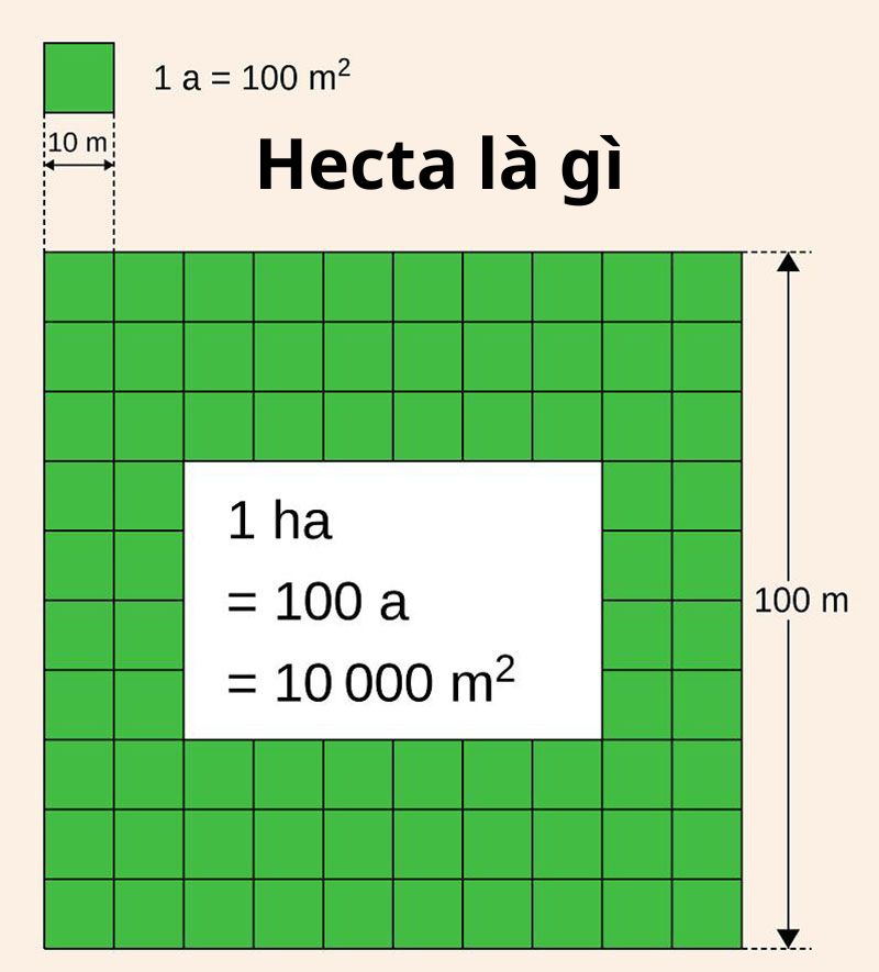 1 Hecta Bao Nhiêu Mét Vuông? Gallery 1