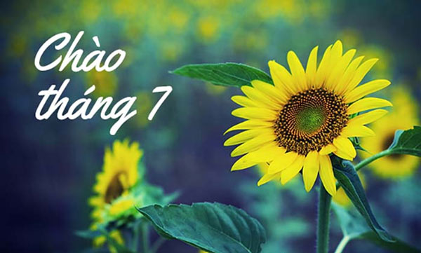 Hello Tháng 7!