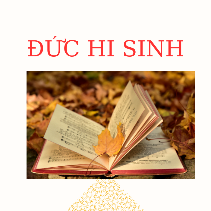 Những Tấm Gương Về Đức Hi Sinh Cao cả Gallery 2