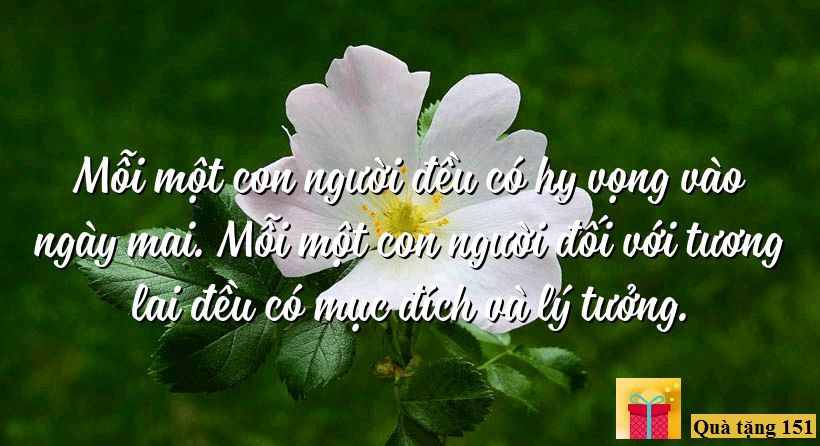 Hi Vọng Là Gì? Tìm Hiểu Về Sức Mạnh Của Hi Vọng Trong Cuộc Sống Gallery 2