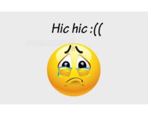 Hic Hic Là Gì? Gallery 2