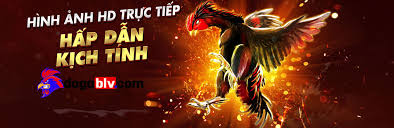 Hiện tượng cộng hưởng thể hiện càng rõ nét khi