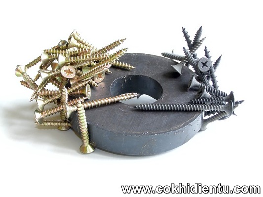 Hiện tượng chứng tỏ nam châm vĩnh cửu có từ tính Gallery 1