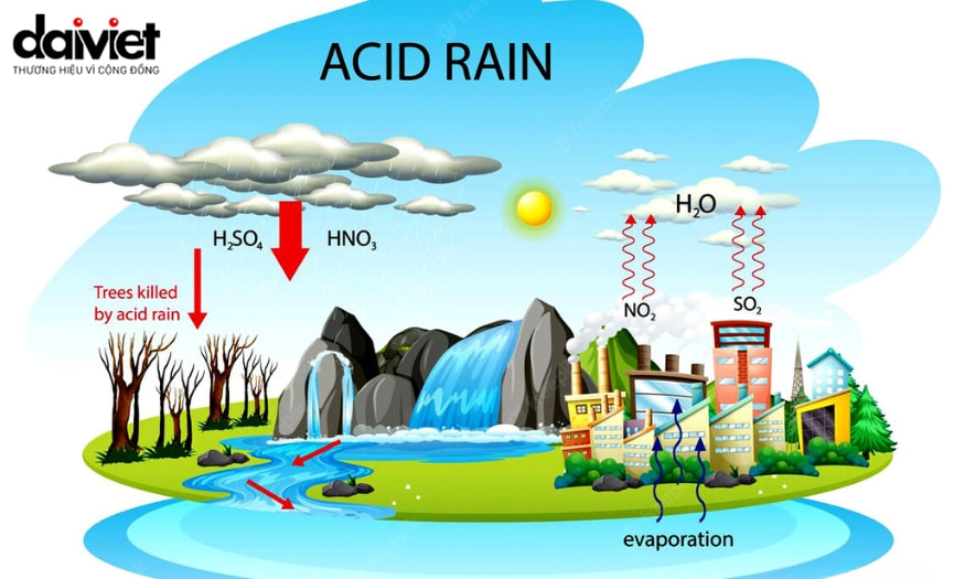 Hiện tượng mưa axit là gì?