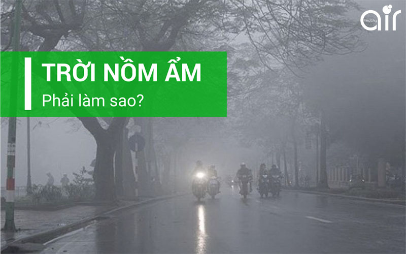 Hiện tượng nồm ở miền Bắc vào cuối mùa đông đầu mùa xuân chủ yếu do gió nào gây nên?