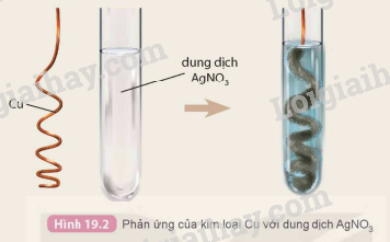 Phản ứng Cu + AgNO3: Hiện tượng và Giải thích Gallery 1