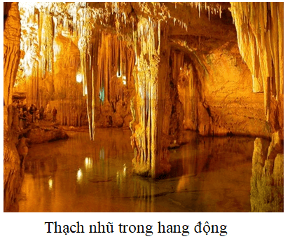 Thạch nhũ là gì? Hình thành như thế nào?