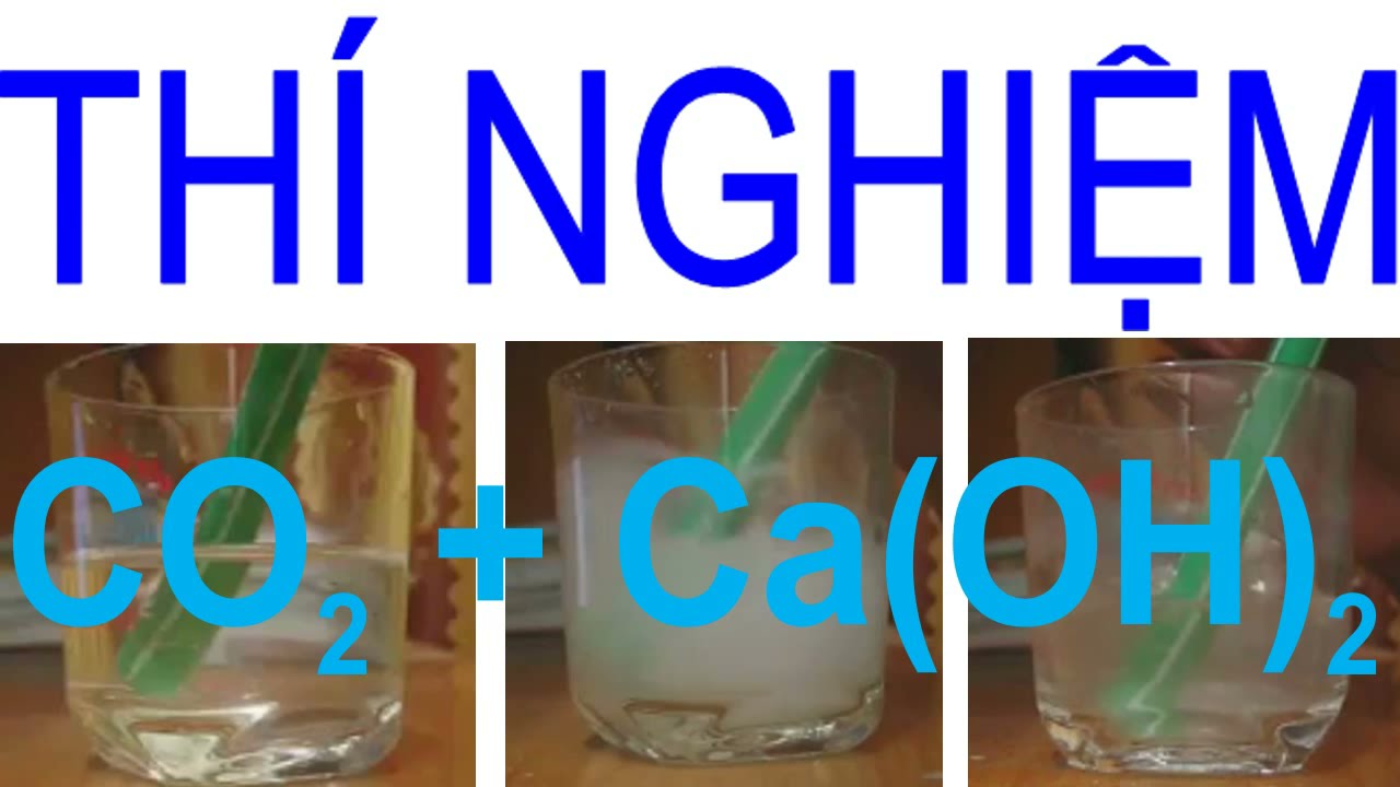 Sục khí CO2 vào nước vôi trong Gallery 1