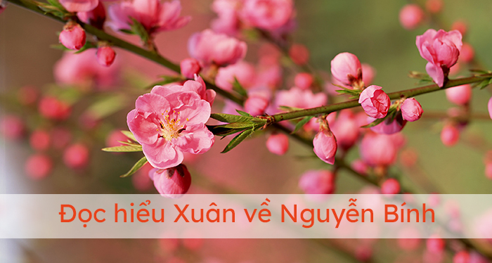 Xuân Về Đọc Hiểu Gallery 1
