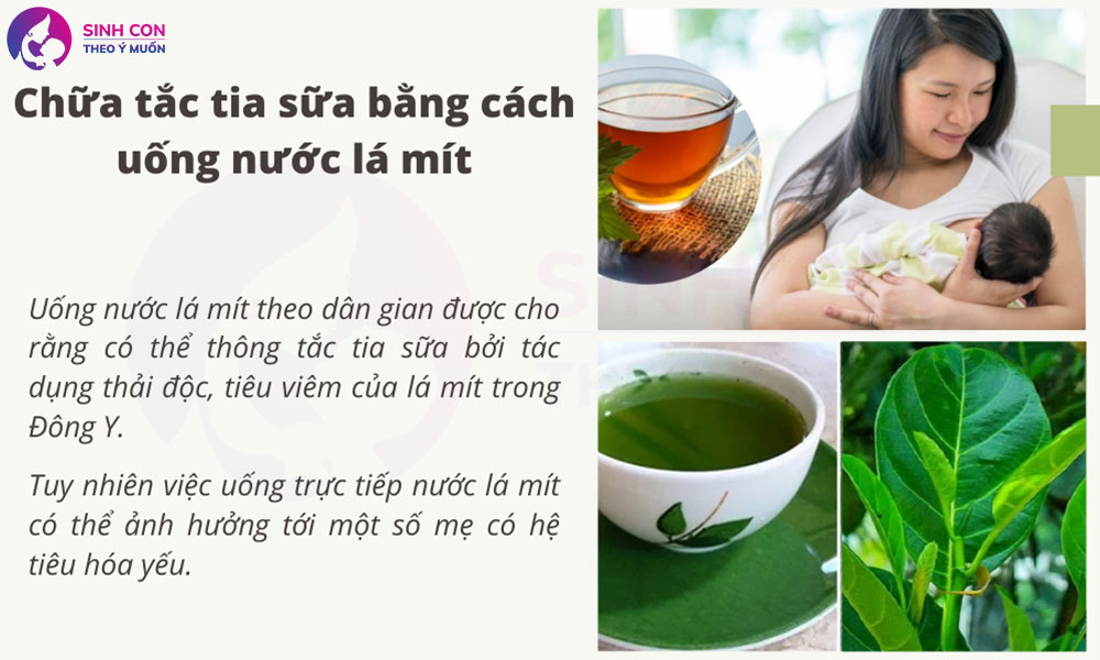 Cách Gọi Sữa Về Bằng Lá Mít Gallery 1