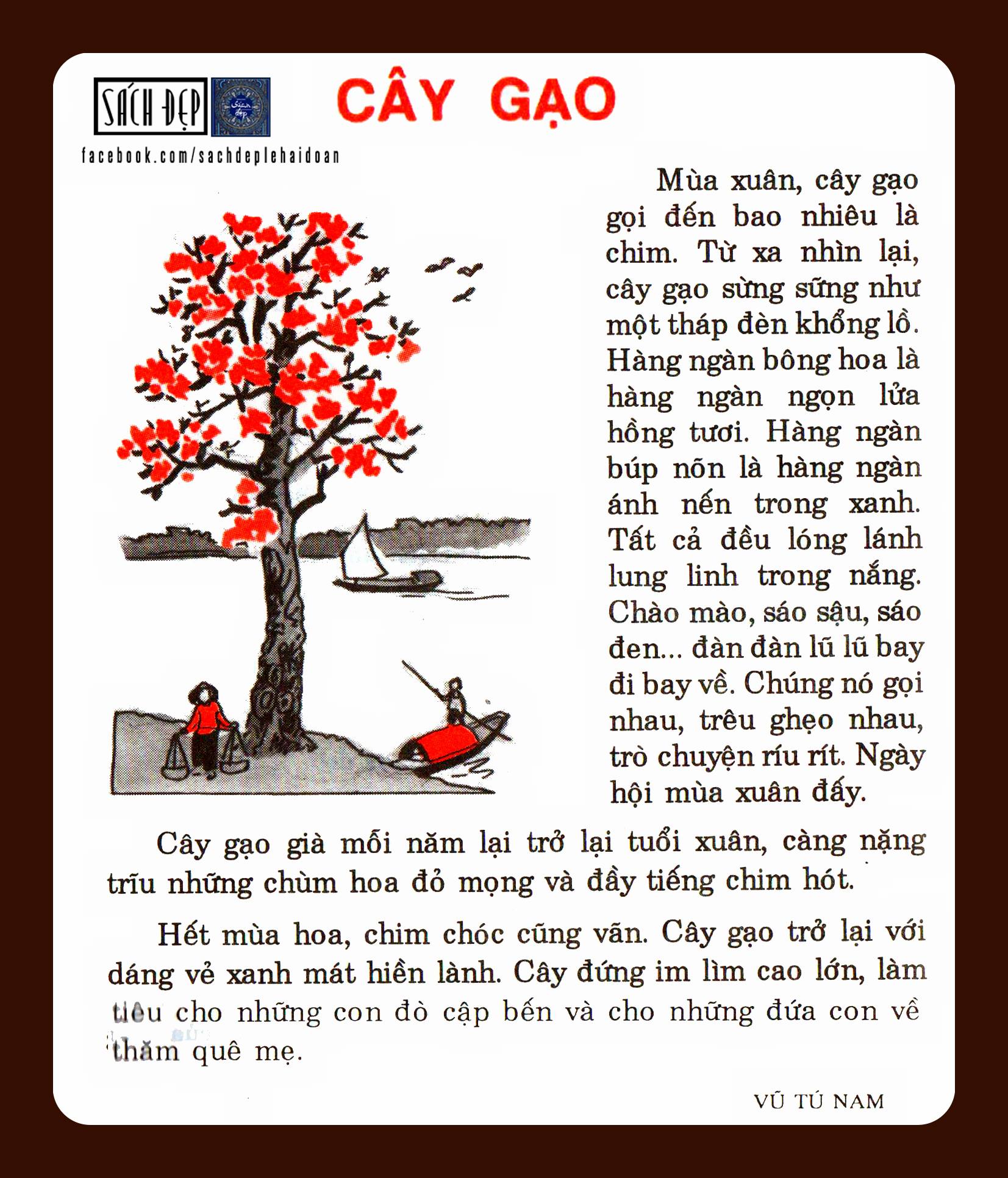 Giải Bài Cây Gạo Lớp 2 Gallery 1