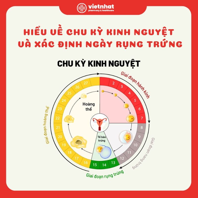 Chu kỳ kinh nguyệt: Hiểu rõ về chu kỳ kinh nguyệt của bạn Gallery 1