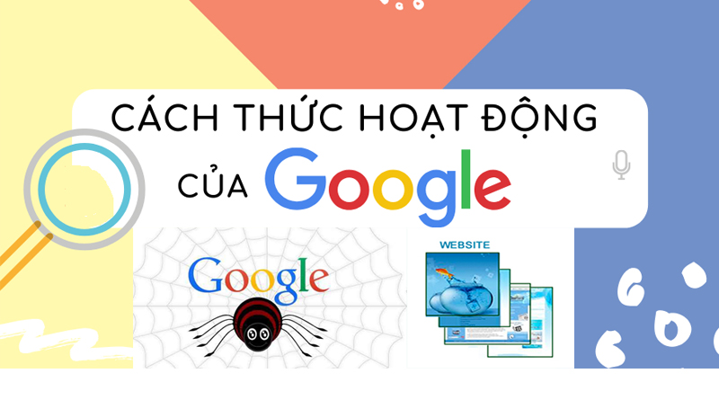 Ai Ma Tốp: Bí Quyết SEO Thành Công Gallery 1