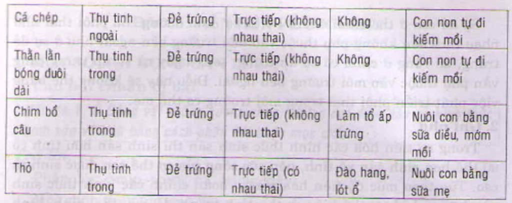 Công thức tính trọng lượng P = 10m Gallery 1