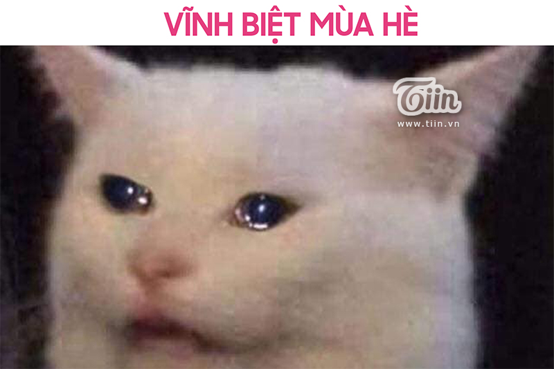 Miệng Tuy Cười Nhưng Lệ Đổ Trong Tim Gallery 1