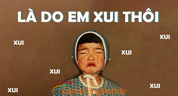 Do Em Xui Thôi Gallery 1