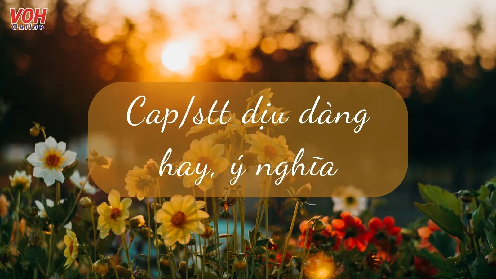 Nghe Nói Anh Thích Dịu Dàng Gallery 1