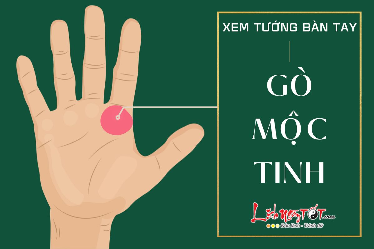 Gò Mộc Tinh Có Hình Vuông? Gallery 1
