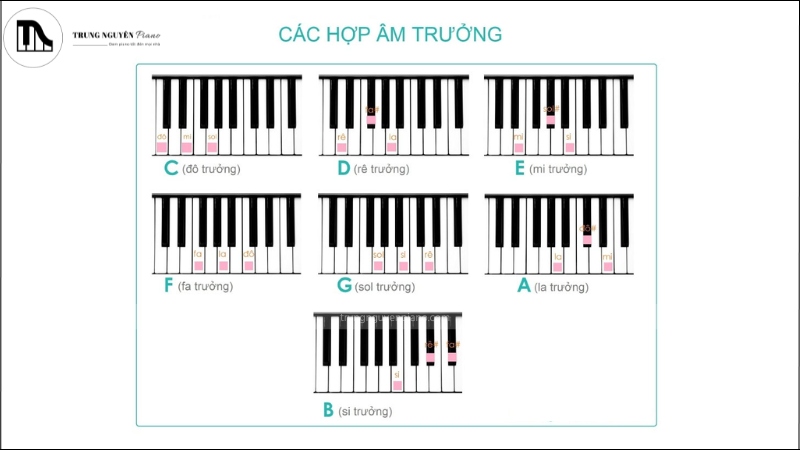 Cấu Tạo Hợp Âm Dim Gallery 1